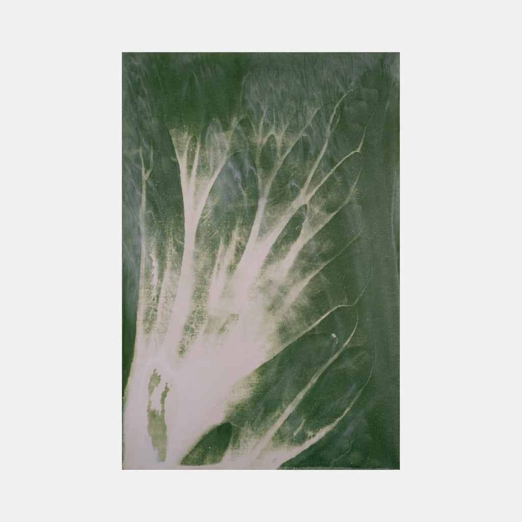 The artwork 'Biophilia 21' by George Stanojevic features ethereal white branching forms against a deep forest green background, reminiscent of organic plant structures or neural networks. The delicate, frost-like patterns created through natural elements spread upward in a luminous display, showcasing the interplay of pigment and environmental influences on canvas by George Stanojevic.