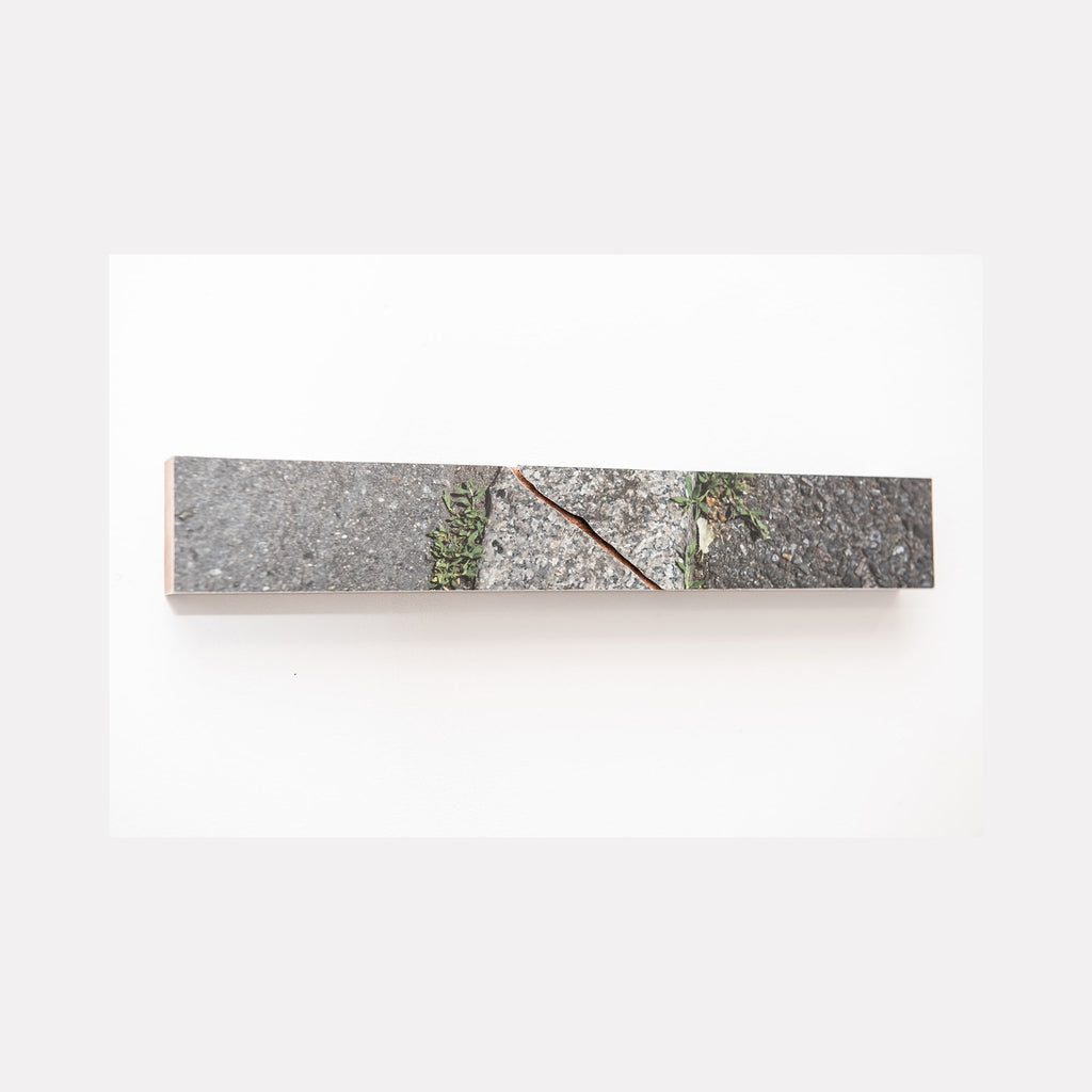 The artwork 'Sidewalk Crack' by Ryan Frank captures a minimalist urban landscape detail, featuring a diagonal fissure in concrete pavement with small green weeds emerging through. The color photograph, mounted on sapele wood, presents a stark contrast between gray concrete texture and resilient plant life, measuring 2.5 x 16 inches.