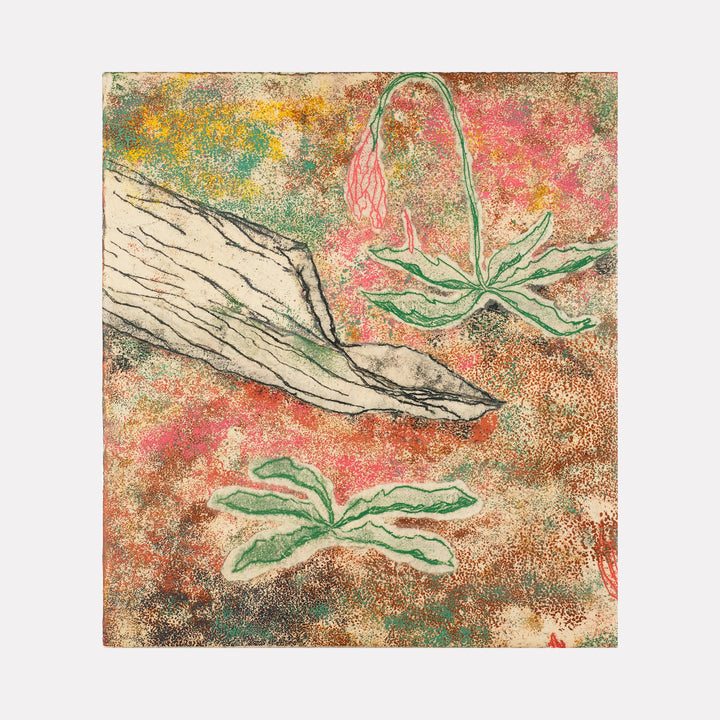 The artwork 'Detritus Anon' by Johanna Ryan features a collaged trace monotype depicting abstract botanical elements against a textured background. Green plant-like forms float across a mottled coral and russet surface, with a diagonal linear form in pale gray intersecting the composition. The monotype technique creates delicate, ethereal impressions on paper.