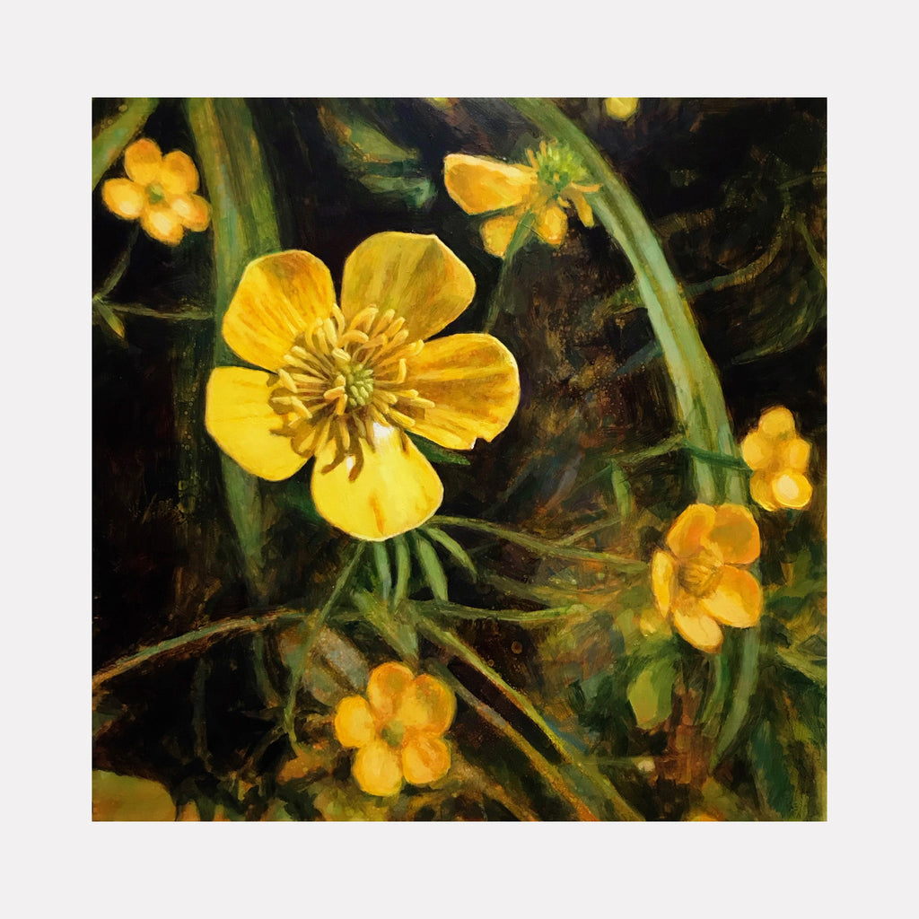 The artwork 'Buttercup' by Elody Gyekis features vibrant yellow wildflowers against a dark background. The central bloom shows detailed pistils and stamens, surrounded by smaller buttercup blossoms. Rich green stems and leaves weave throughout the 12x12 inch oil painting, creating a naturalistic botanical study with dramatic lighting and realistic texture.