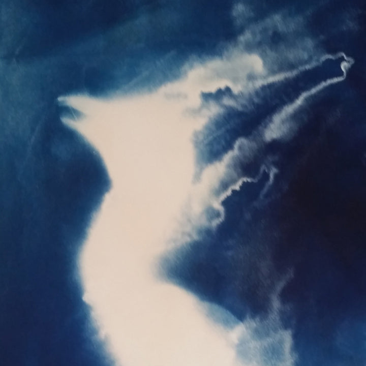 The artwork 'Embryonic Stage 3' features ethereal cyanotype prints in deep Prussian blue and white, creating abstract cloudlike formations reminiscent of ultrasound imagery. The composition showcases fluid, organic shapes with dramatic contrasts and dreamy, floating textures on paper. 24x19 inches. By Johanna Ryan.
