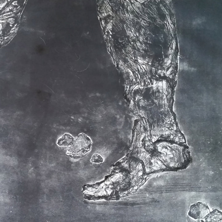 We Go Walking Late At Night - curina