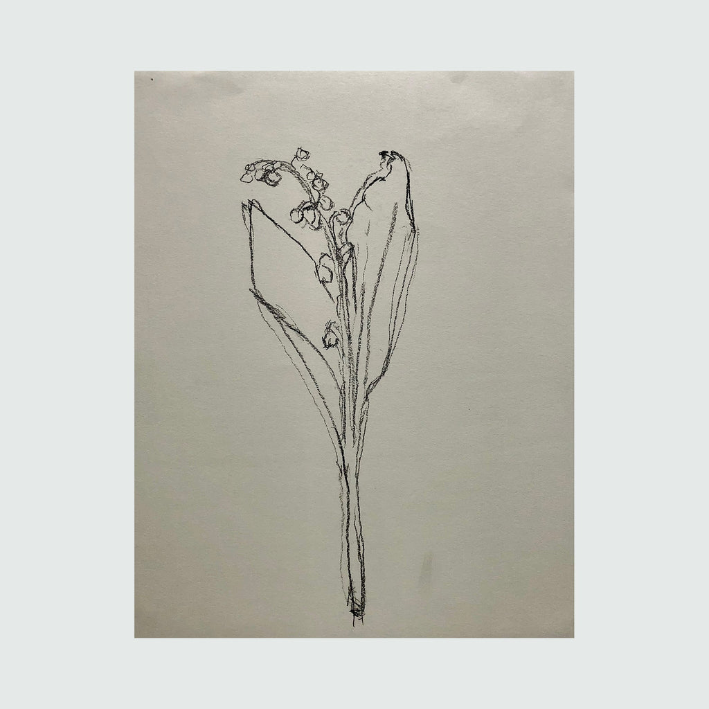 The artwork 'Muguet from Life, II' by Ryan Zogheb features a delicate charcoal drawing of a lily of the valley stem with drooping bell-shaped flowers. The minimalist line work captures the plant's graceful form against a light background, showcasing the artist's refined technique in botanical illustration. By Ryan Zogheb.