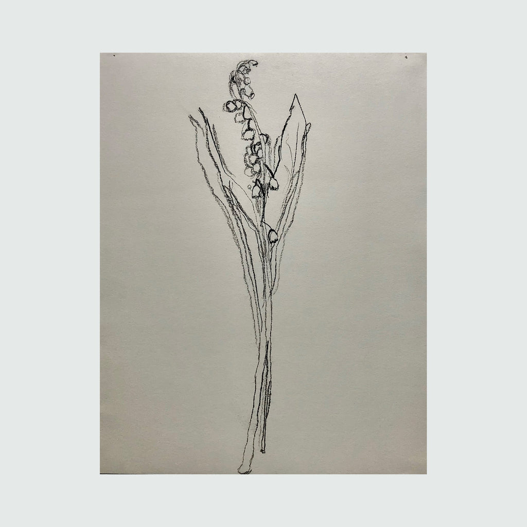 The artwork 'muguet from life, IV' by Ryan Zogheb features a delicate charcoal sketch of a lily of the valley flower stem with its characteristic bell-shaped blooms cascading along a curved raceme, rendered in fine, minimal lines against plain paper, capturing the elegant simplicity of the botanical subject with masterful restraint.