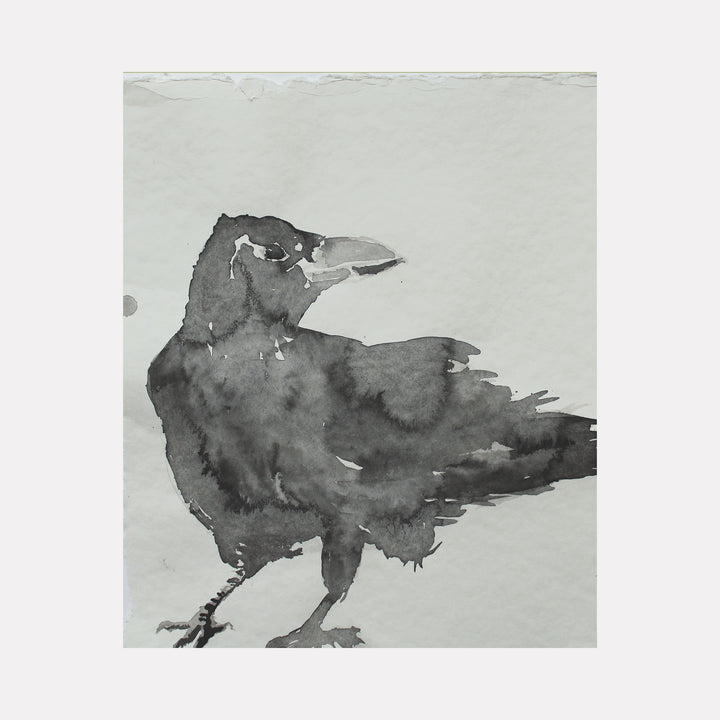 The artwork 'Profile of Crow' by Johanna Ryan features a minimalist sumi ink painting of a crow in side view on light paper. The bird is rendered in bold, fluid brushstrokes creating various shades of black and gray, capturing the crow's distinctive beak, proud posture, and textured feathers in an elegant East Asian artistic style.