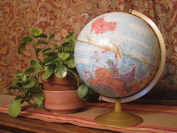 A globe of the earth and plant placed on top of a dresser