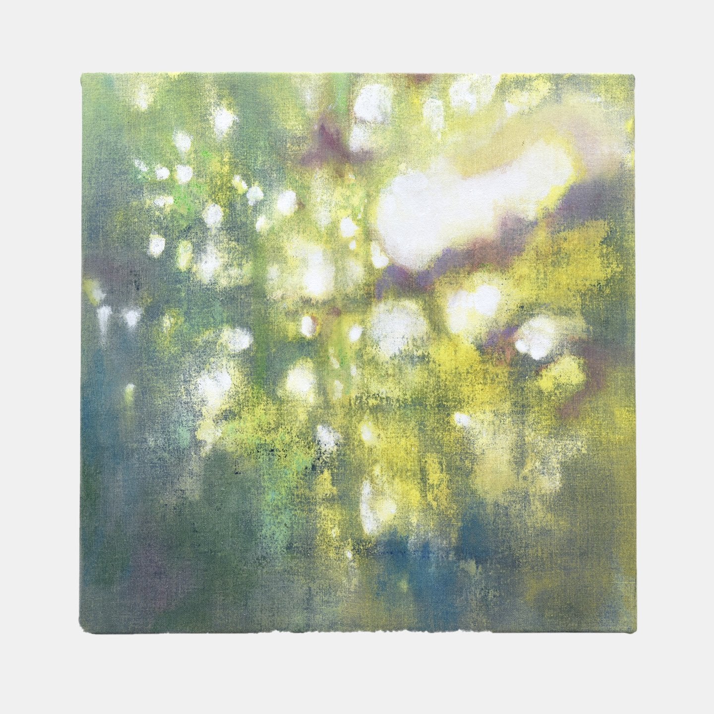 collection-preview-image