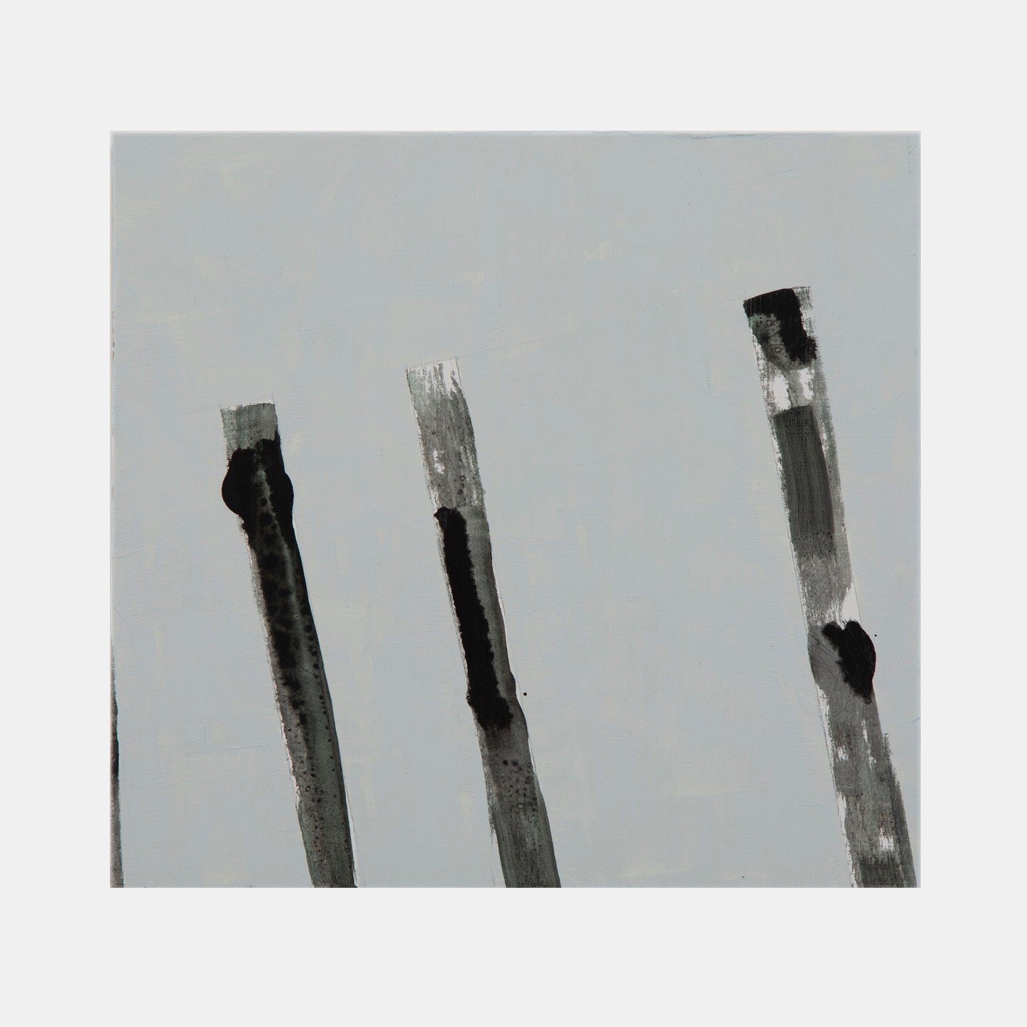 collection-preview-image