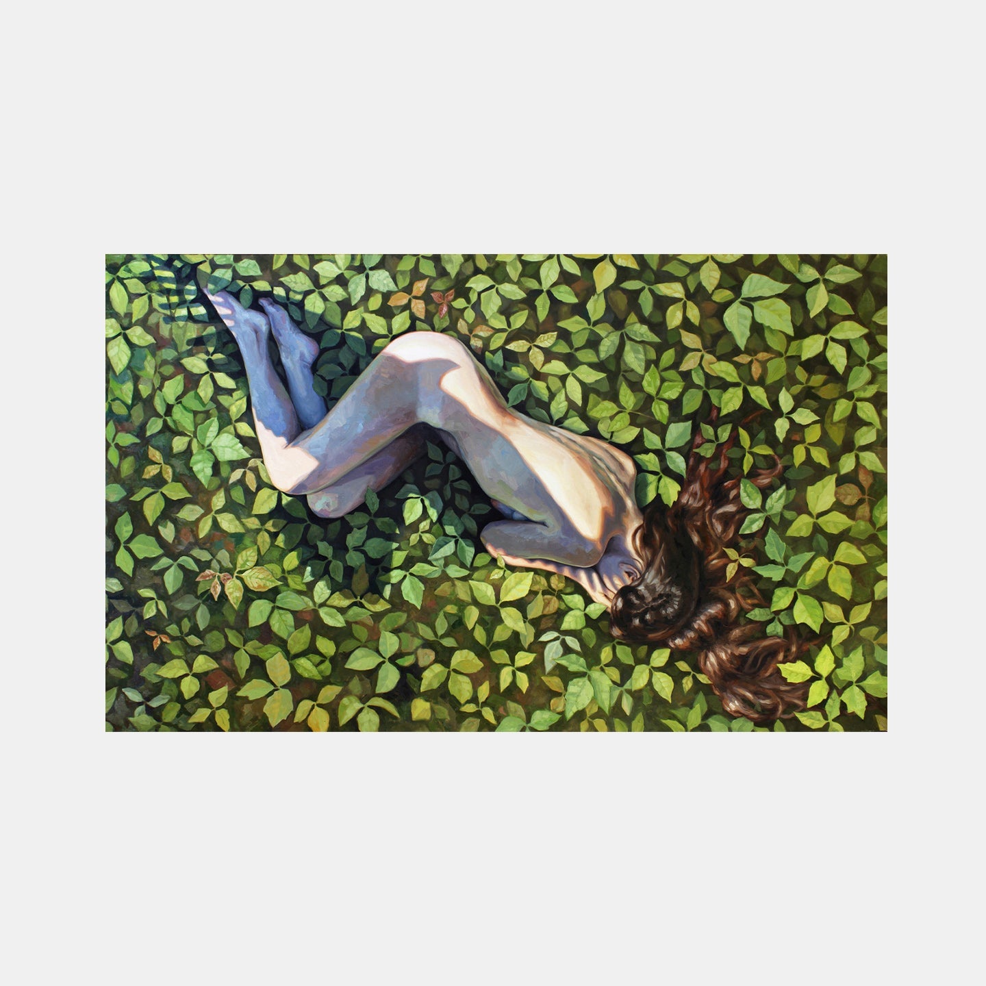 collection-preview-image