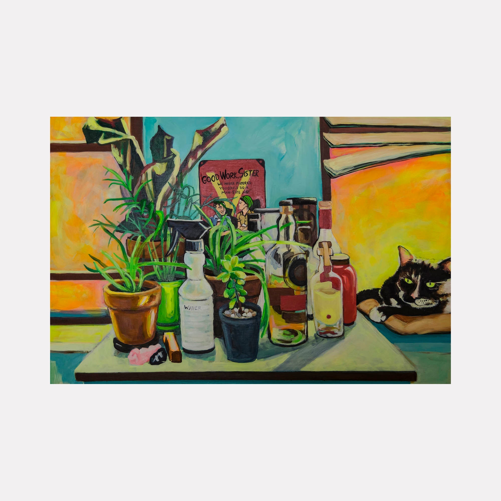 collection-preview-image