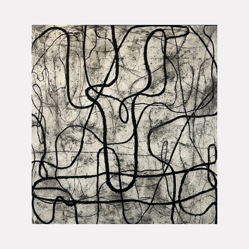 The artwork, Loop, by Janice La Motta, displayed in a room.