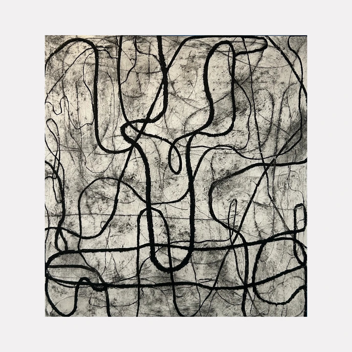 The artwork, Loop, by Janice La Motta, displayed in a room.