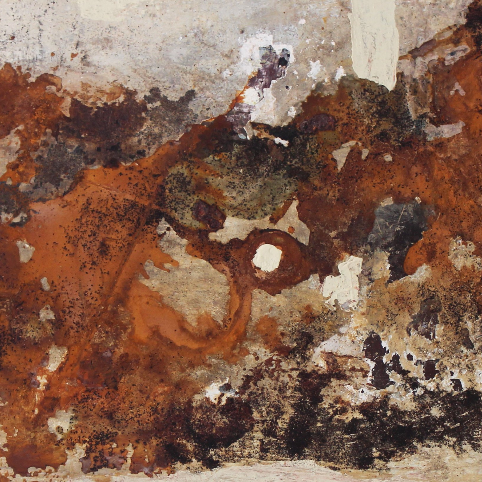 collection-cover-image