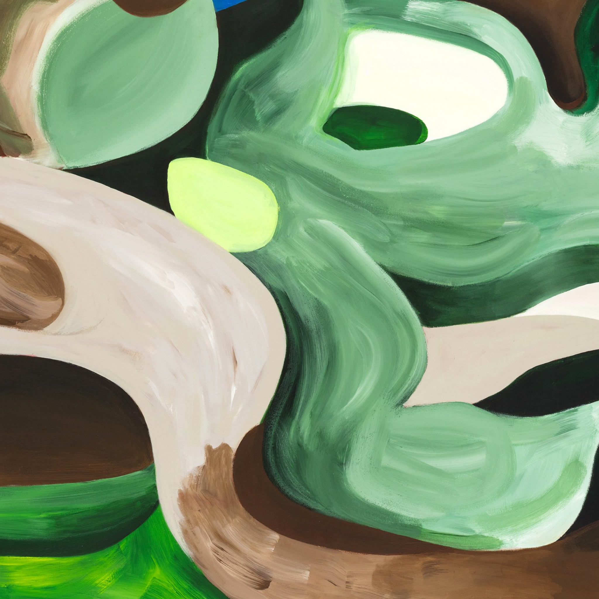 collection-cover-image