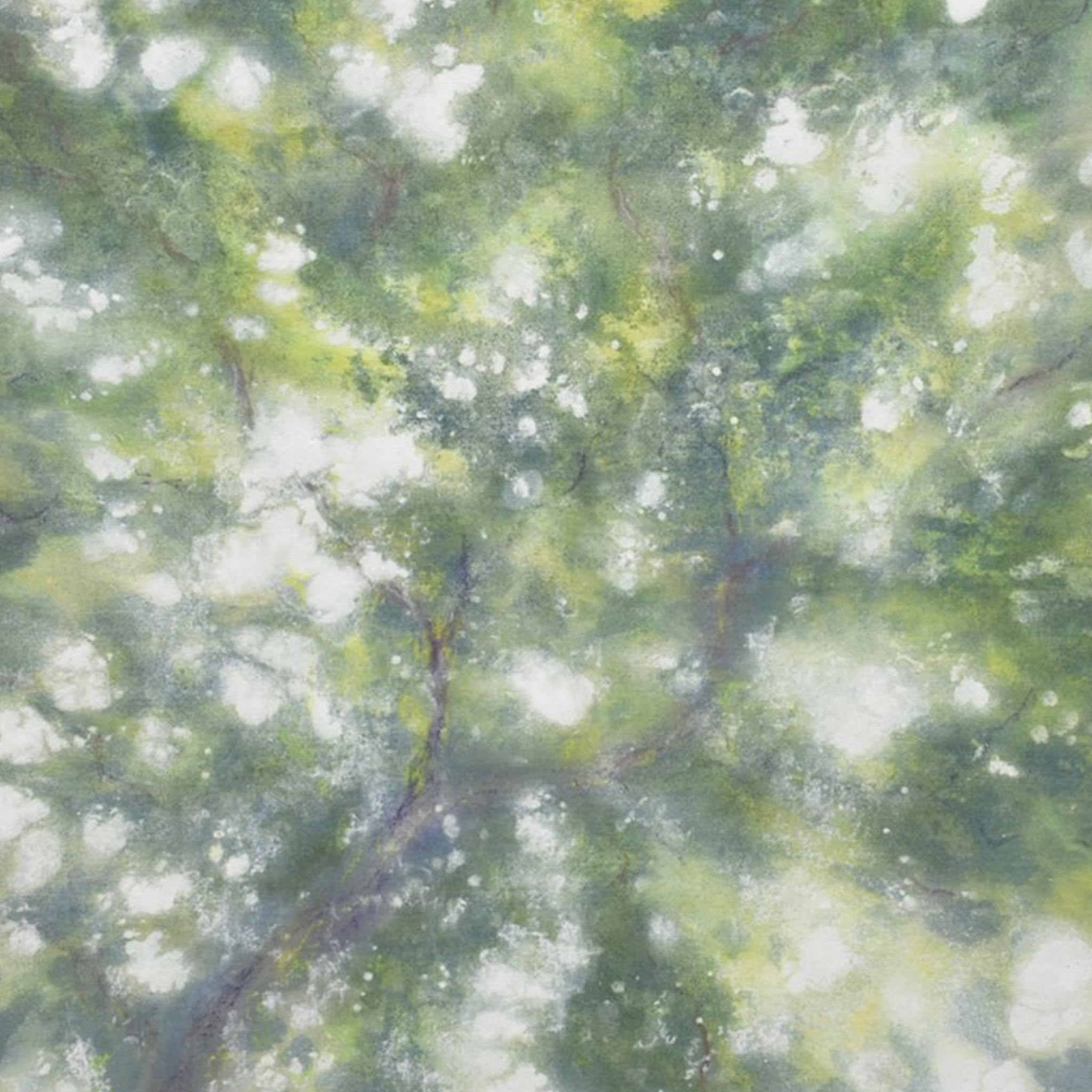 collection-cover-image