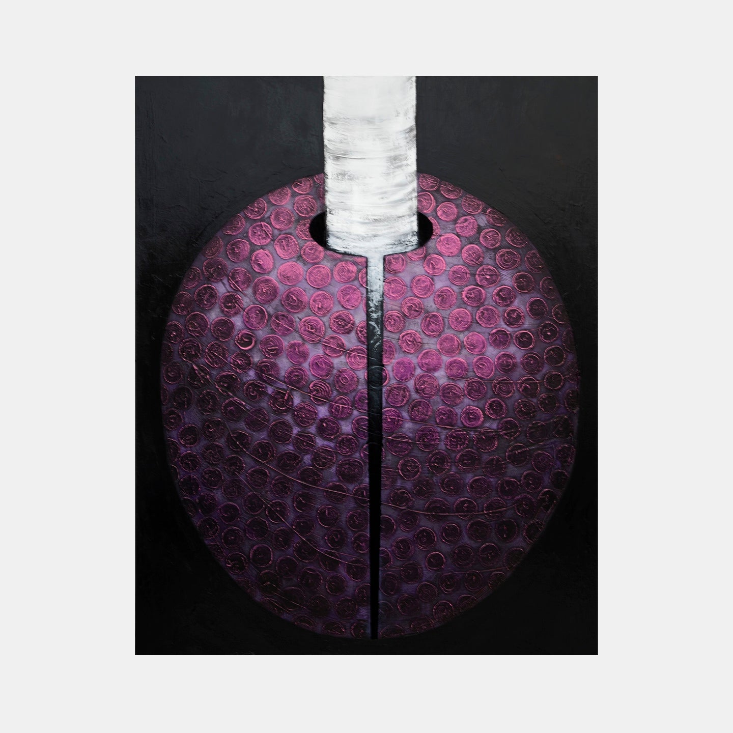 collection-cover-image