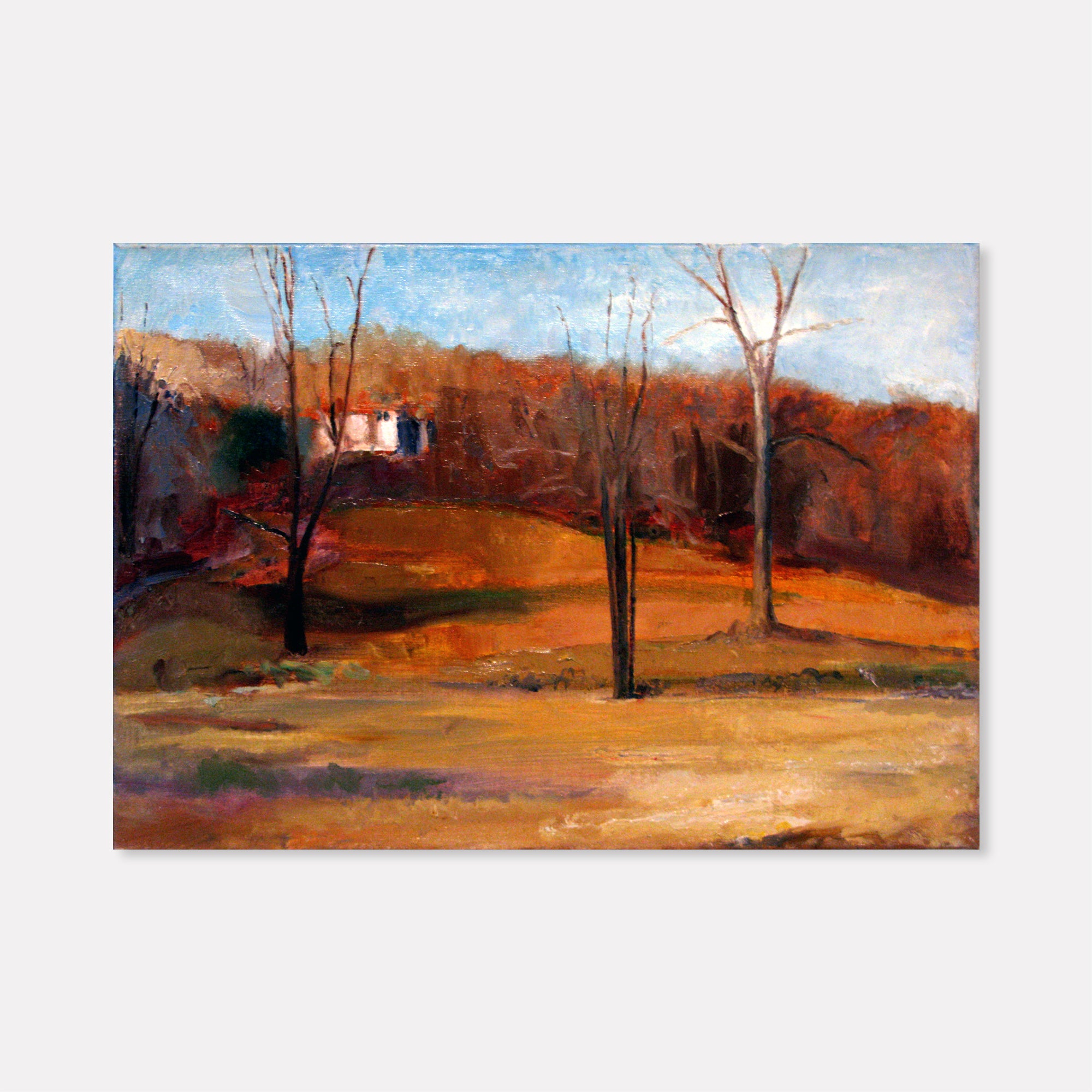 collection-cover-image