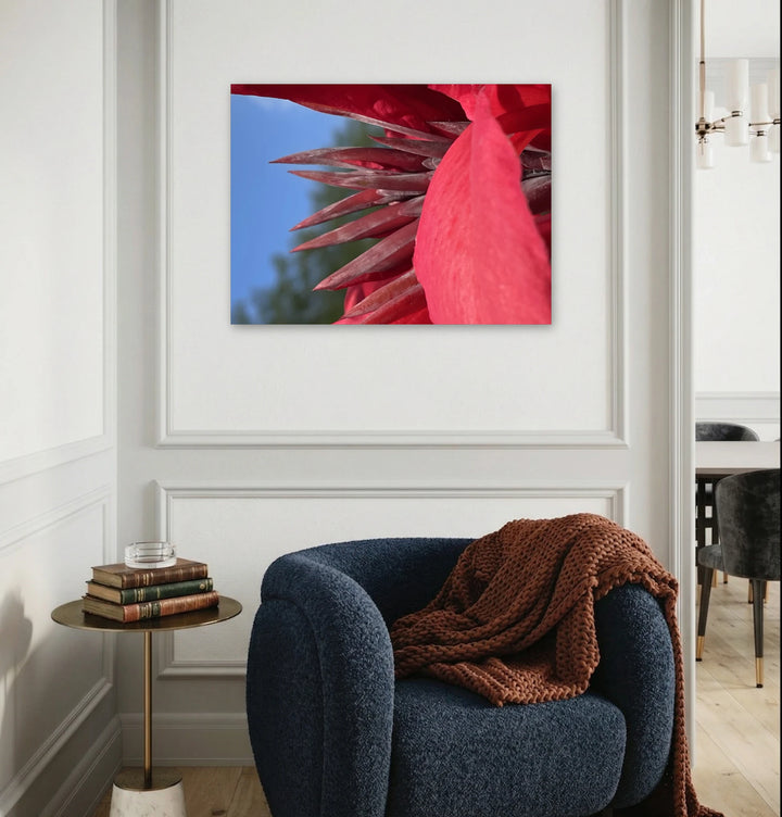 Red Canna Lily