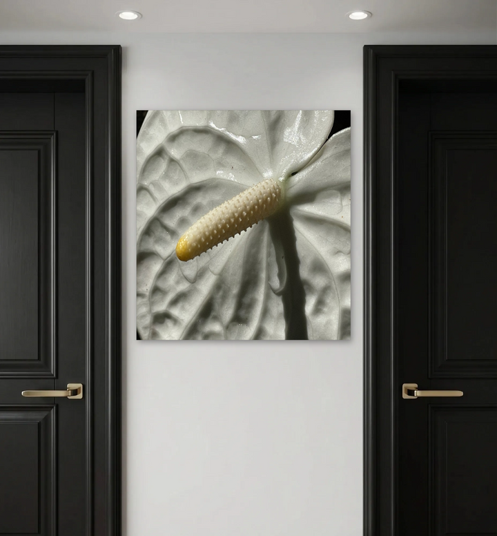 Single Flaminco Lily