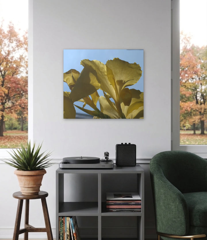 Yellow Iris Sky