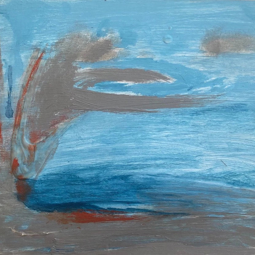 Seawall #31
