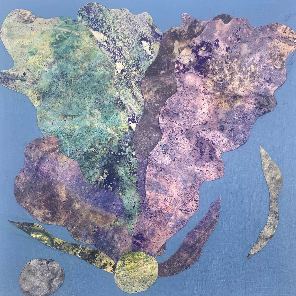 Sea Fan 1