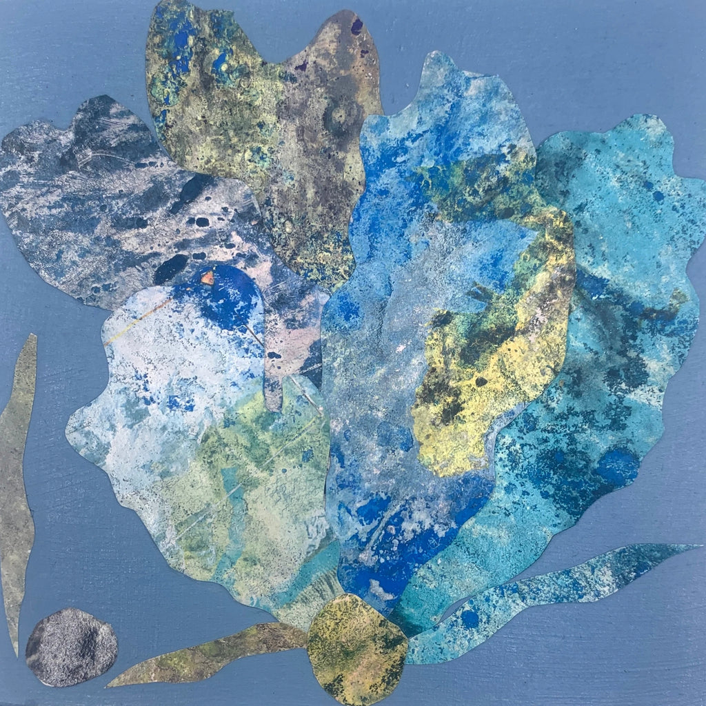 Sea Fan 4