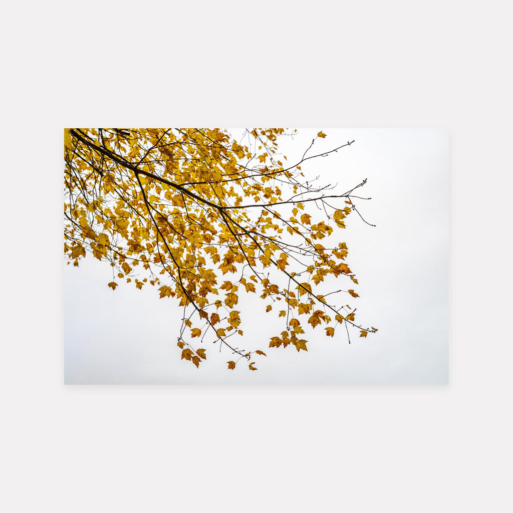 October Paused