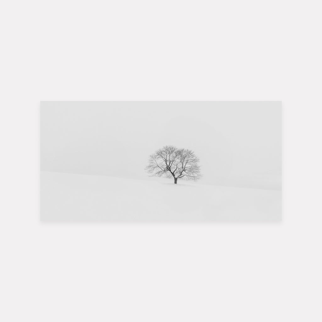 The Nearness Of Absence