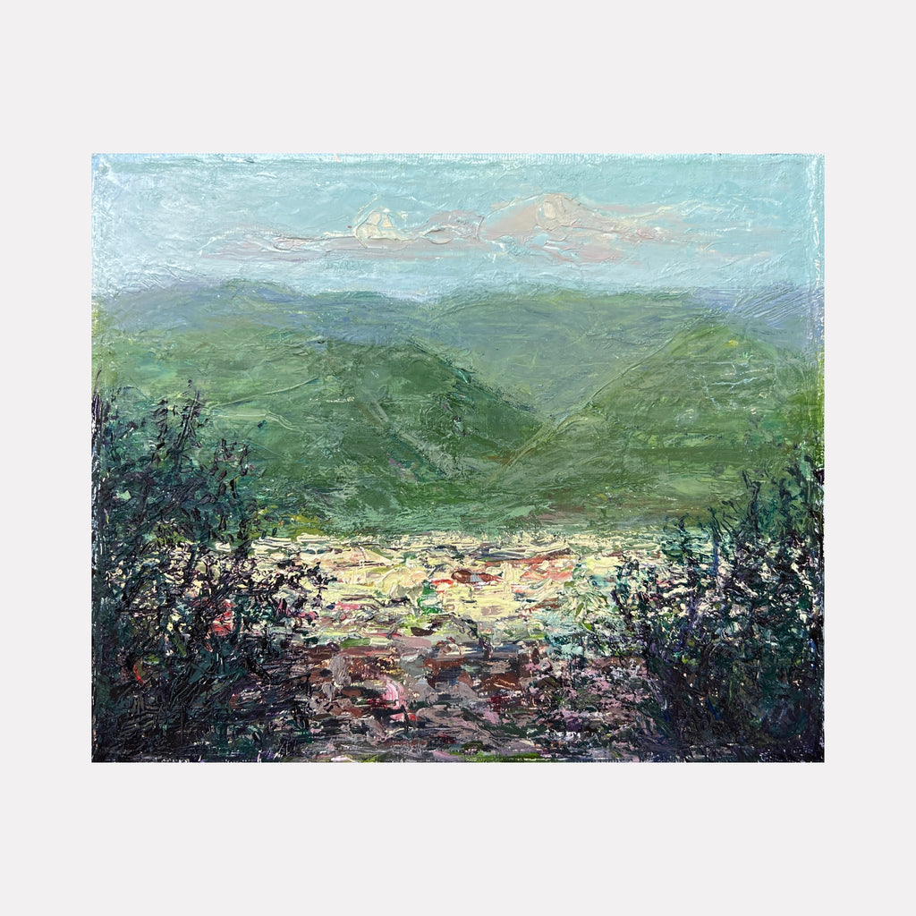 La Vista da Bardini