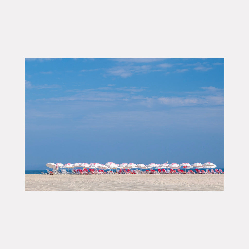 Summer Colony