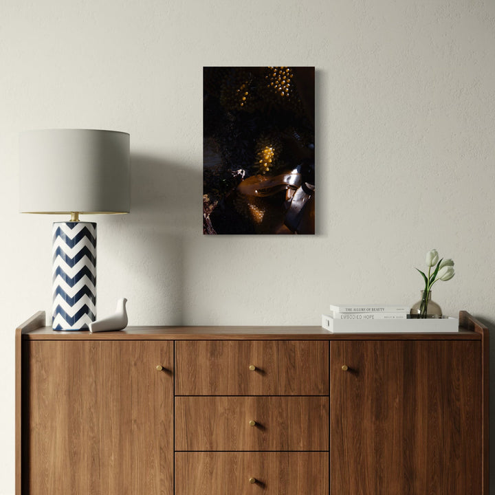 The artwork, 080A5851, by Eunice Pais, displayed in a room.