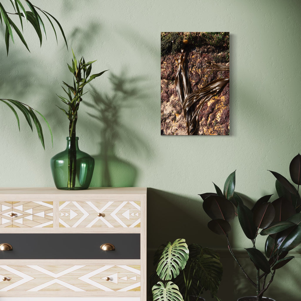 080A5871 by Eunice Pais reveals a richly textured natural scene with flowing dark elements contrasting against a mottled, earthy background. Mounted on a muted green wall above a light wooden dresser with geometric patterns and complemented by lush green plants, the artwork infuses the space with organic complexity and subtle warmth.