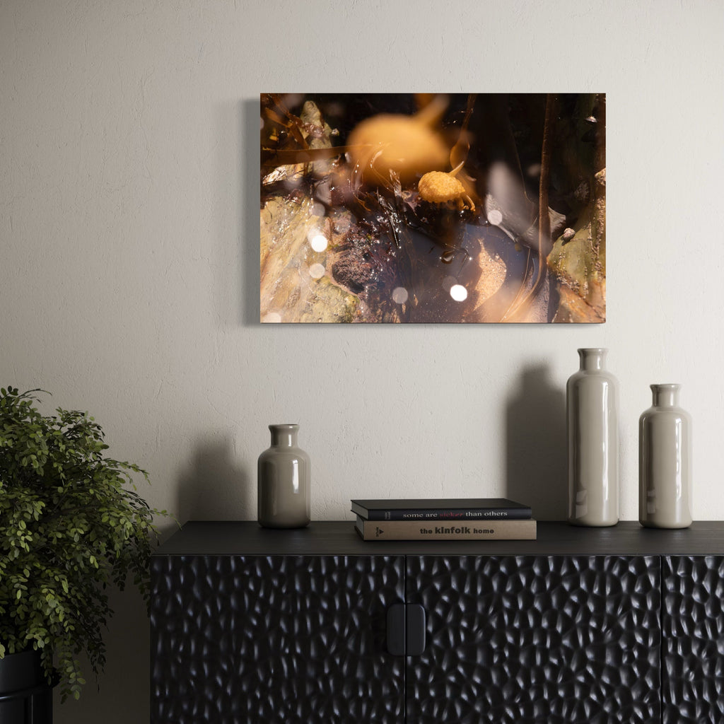 The artwork, 080A5996, by Eunice Pais, displayed in a room.