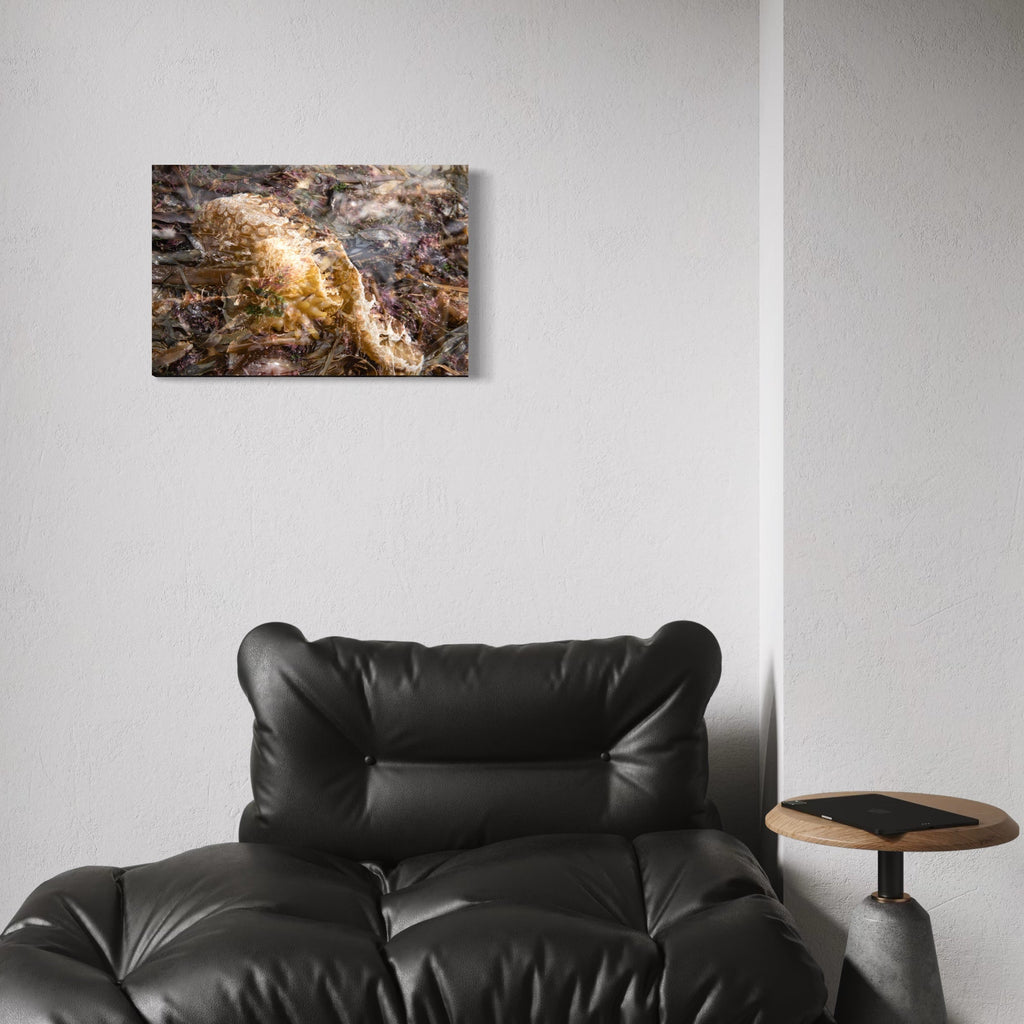 The artwork, 080A6098, by Eunice Pais, displayed in a room.