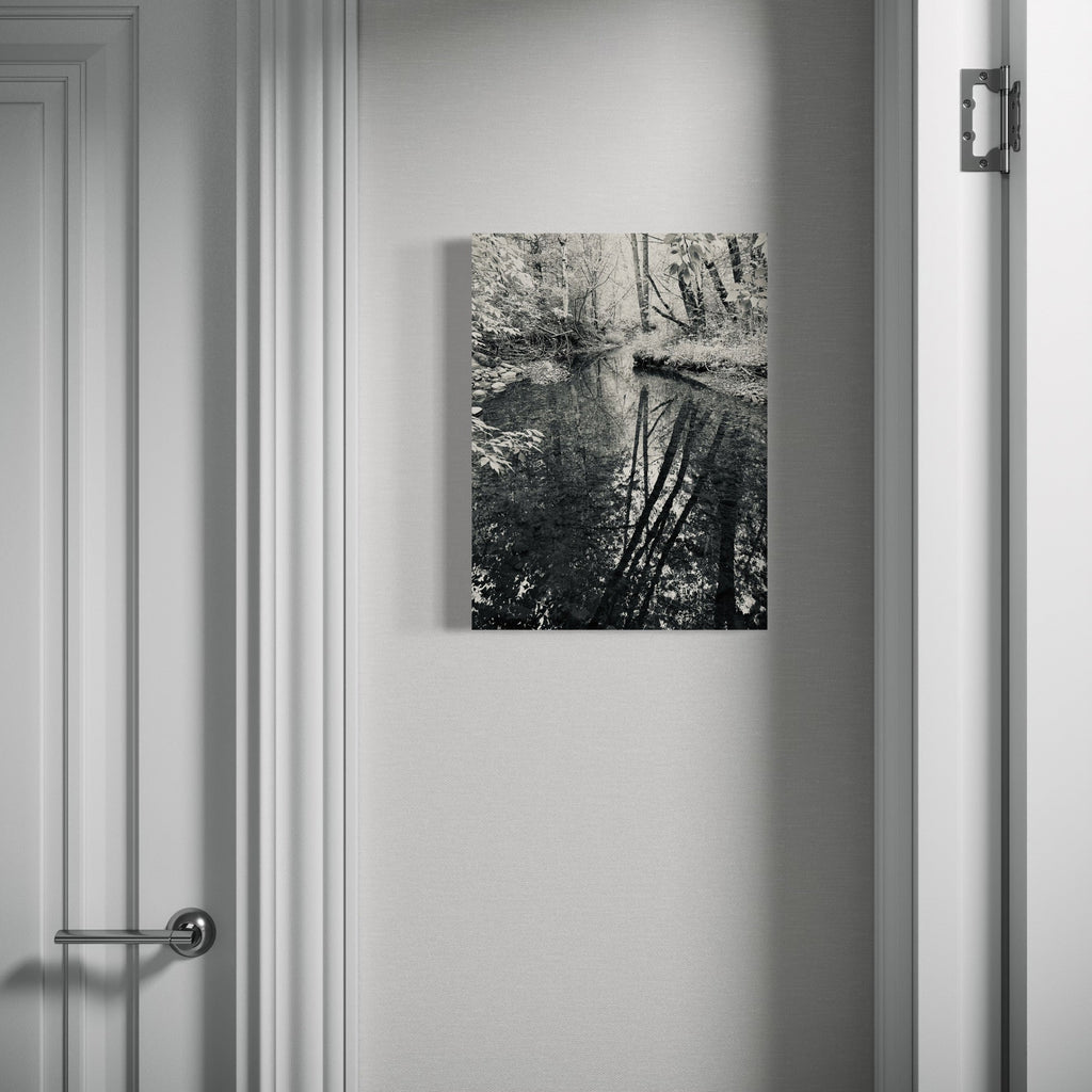 The artwork, Amity Creek #1, by Ann Tracy, displayed in a room.