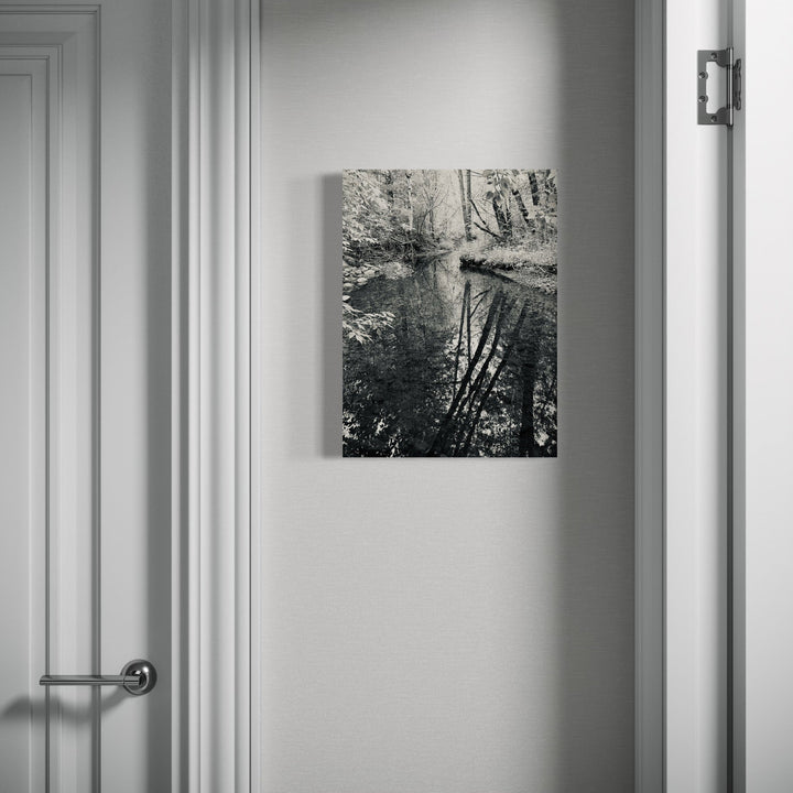 The artwork, Amity Creek #1, by Ann Tracy, displayed in a room.