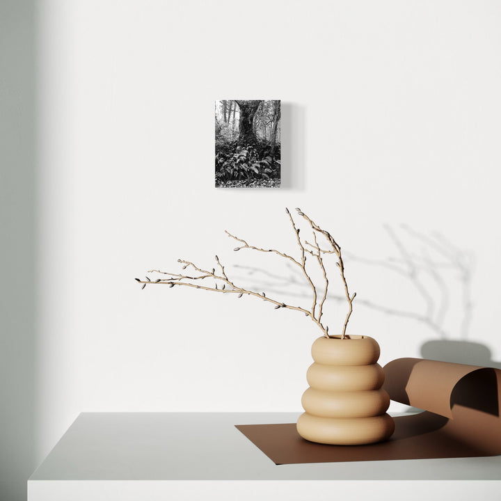 The artwork, Annaghmakerrig #1, by Ann Tracy, displayed in a room.