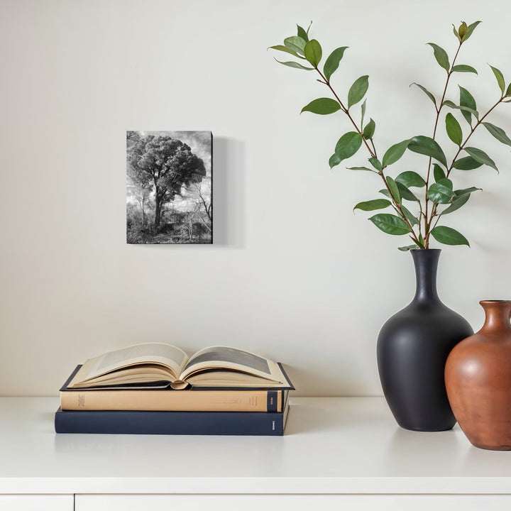 The artwork, Cienega Creek #1, by Ann Tracy, displayed in a room.