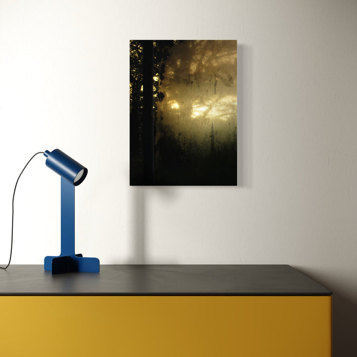 The artwork, Eyeries Conservatory #2, by Ann Tracy, displayed in a room.