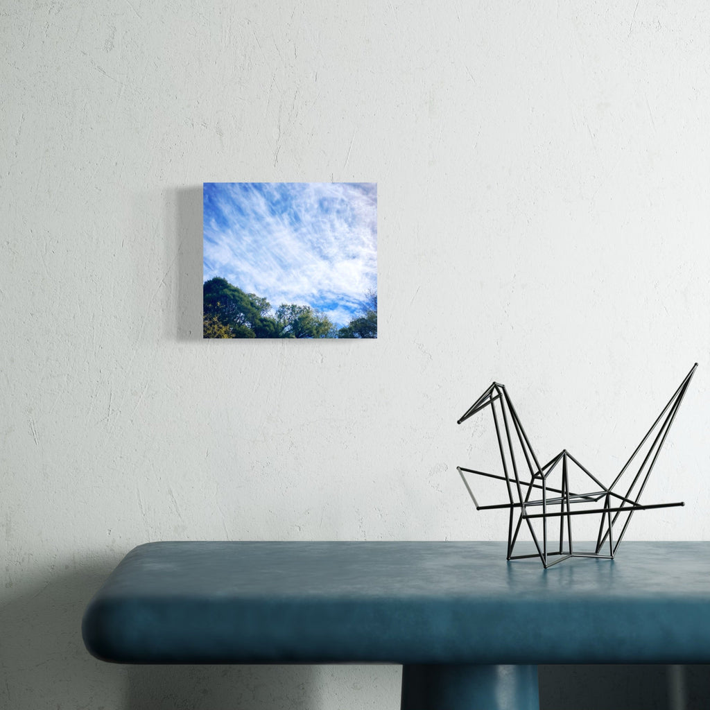 The artwork, Madera Canyon #1, by Ann Tracy, displayed in a room.