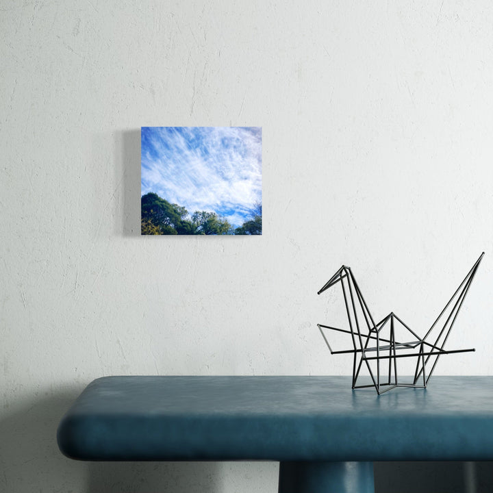 The artwork, Madera Canyon #1, by Ann Tracy, displayed in a room.