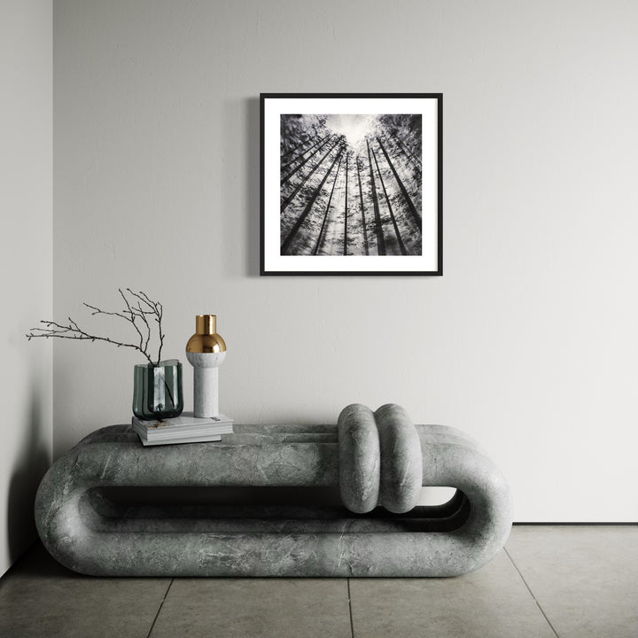 The artwork 'Promise Abound' captures a dramatic upward view of towering pine trees in black and white photography. The trees converge towards a bright central point, creating a mesmerizing perspective of nature reaching skyward. The stark contrast highlights the intricate patterns of tree trunks and branches against the bright sky. Framed watercolor by Cat Lencke.