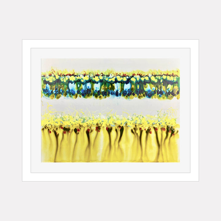 The artwork "CONFLICT ZONE 14" by Lyn Godley features two horizontal bands of abstract forms with vibrant yellow, green, and blue hues. The top band combines fluid organic shapes reminiscent of stained glass, while the bottom band displays softer, flowing textures with dark accents. The style echoes elements of Joan Miró and Helen Frankenthaler’s abstract expressionism.