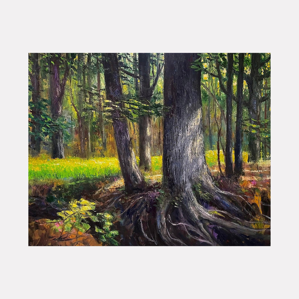 Daffodil Flats by David Quentin Sheldon depicts a tranquil forest scene where sunlight filters through dense tree trunks, highlighting exposed roots and casting shadows across vibrant green foliage and a bright yellow meadow beyond, blending realistic textures and a warm, inviting natural atmosphere.