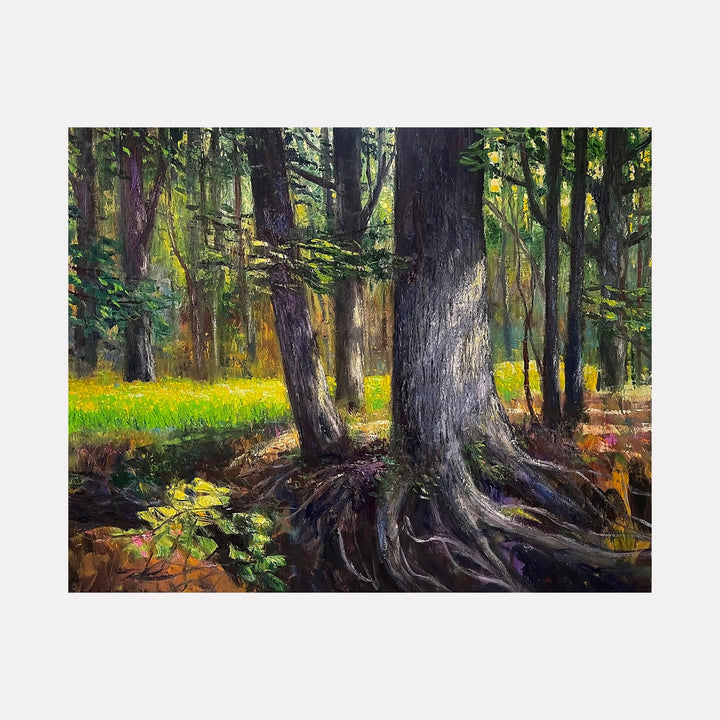 Daffodil Flats by David Quentin Sheldon depicts a tranquil forest scene where sunlight filters through dense tree trunks, highlighting exposed roots and casting shadows across vibrant green foliage and a bright yellow meadow beyond, blending realistic textures and a warm, inviting natural atmosphere.