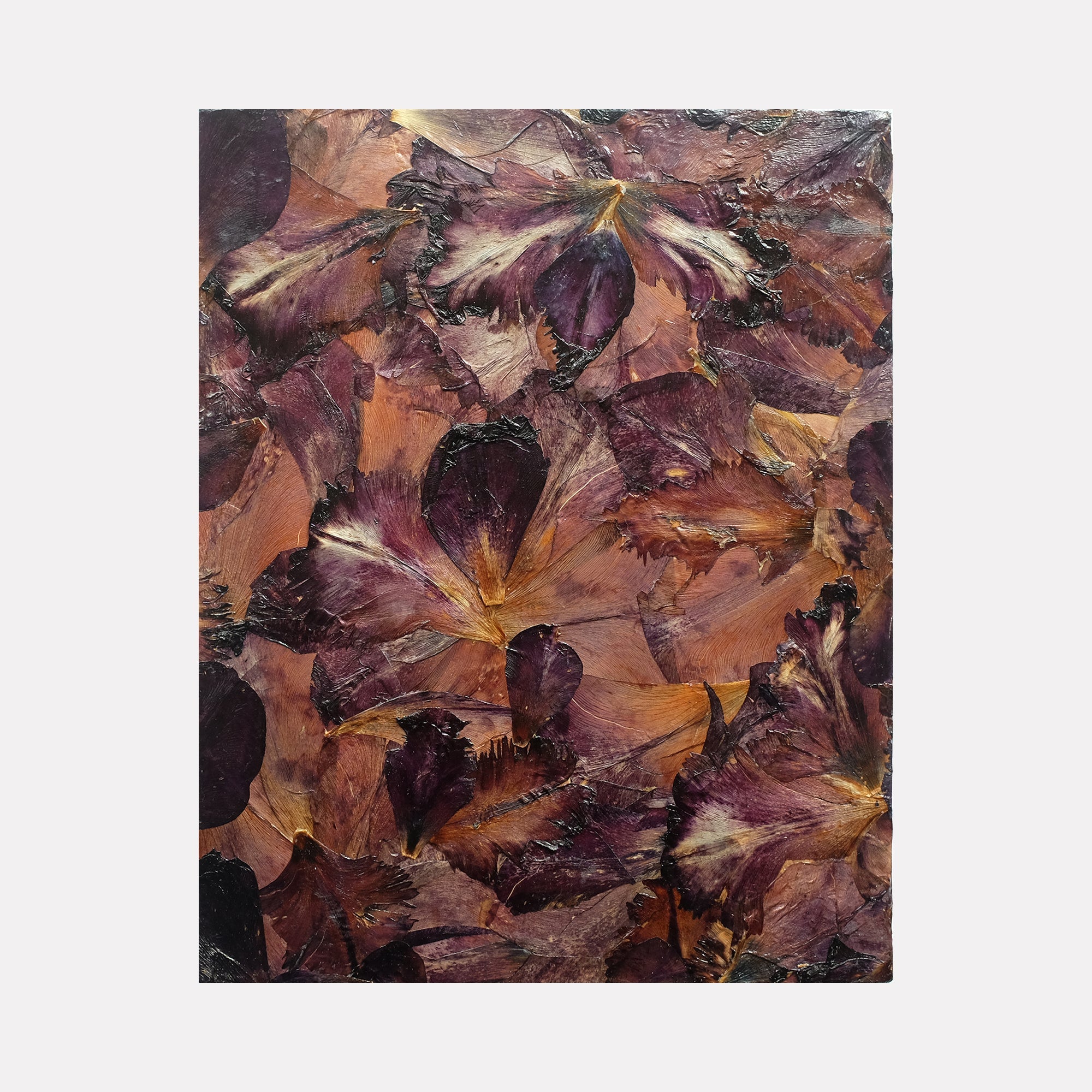 collection-preview-image