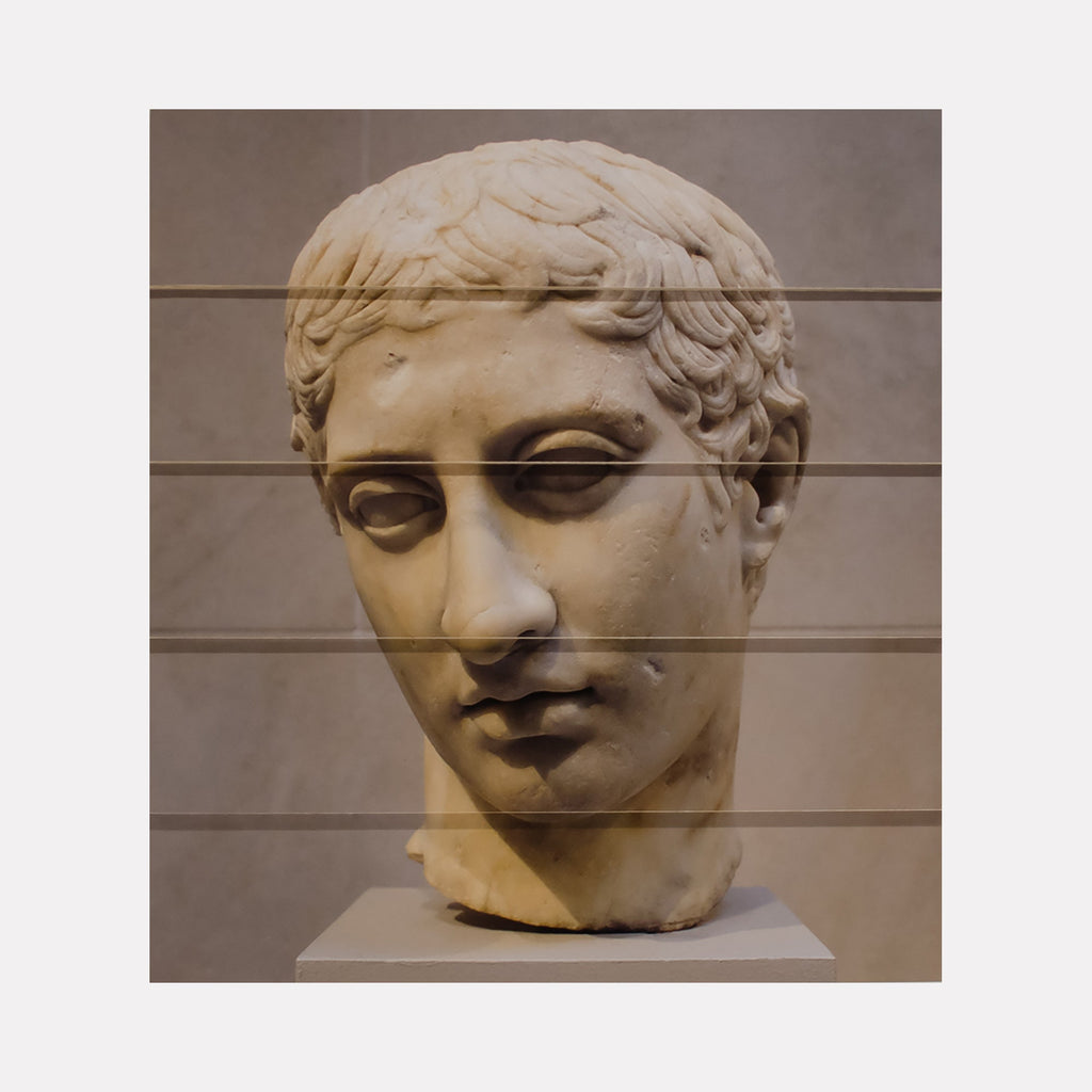 The artwork 'Layered Head of a Youth' by Ryan Frank features a classical Roman-style sculpture head divided by horizontal wood panels. The cream-colored bust displays delicate carved features, curled hair texture, and serene expression, photographically documented and artistically segmented into layers. Mixed media artwork combining traditional sculpture with contemporary presentation, 17x15 inches. By Ryan Frank.