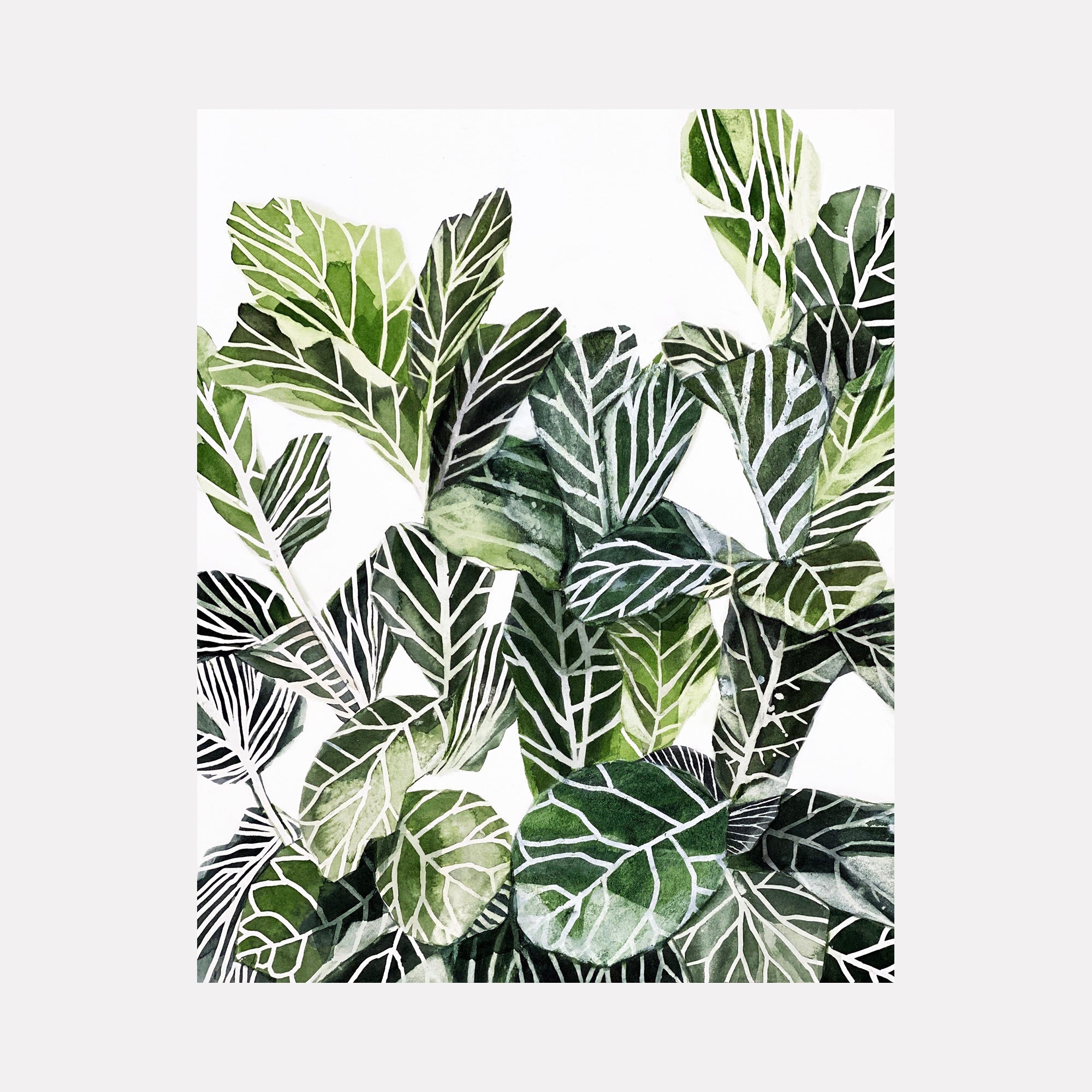 collection-preview-image