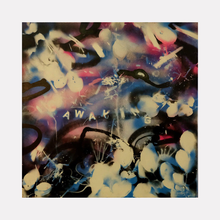 The artwork 'Snow Cone One' by Devin Ruiz features abstract spray paint art with dynamic swirls of blue, pink, and cream colors. Dark organic shapes weave through ethereal light spots, creating a dreamy cosmic effect. The mixed media on canvas showcases a graffiti-inspired technique with overlapping layers and distinctive spray paint textures on a 20x20 inch canvas. By Devin Ruiz.